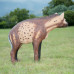 Wildcrete Hyena small